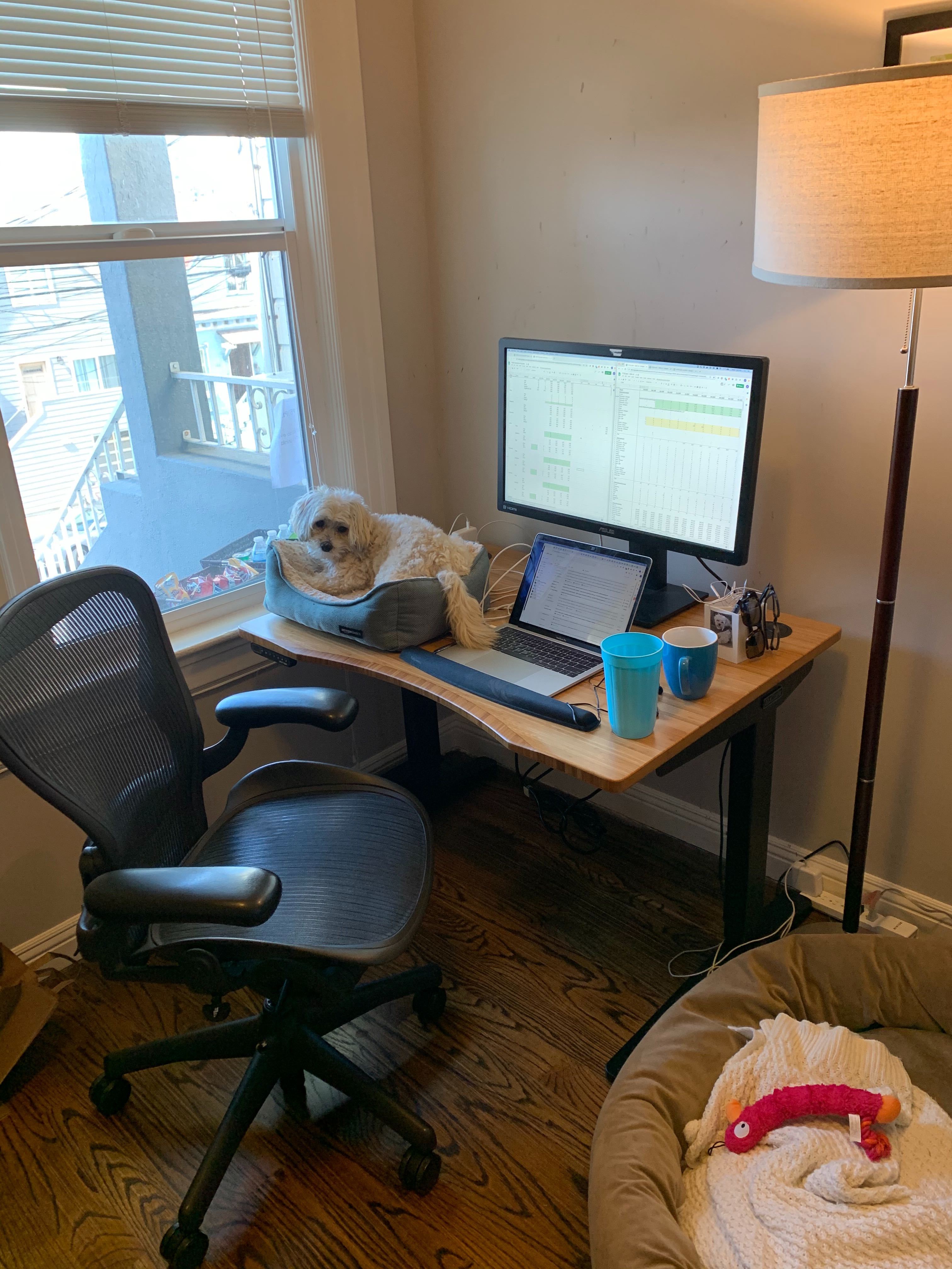 Home office setup of Dan Adler, VP Business