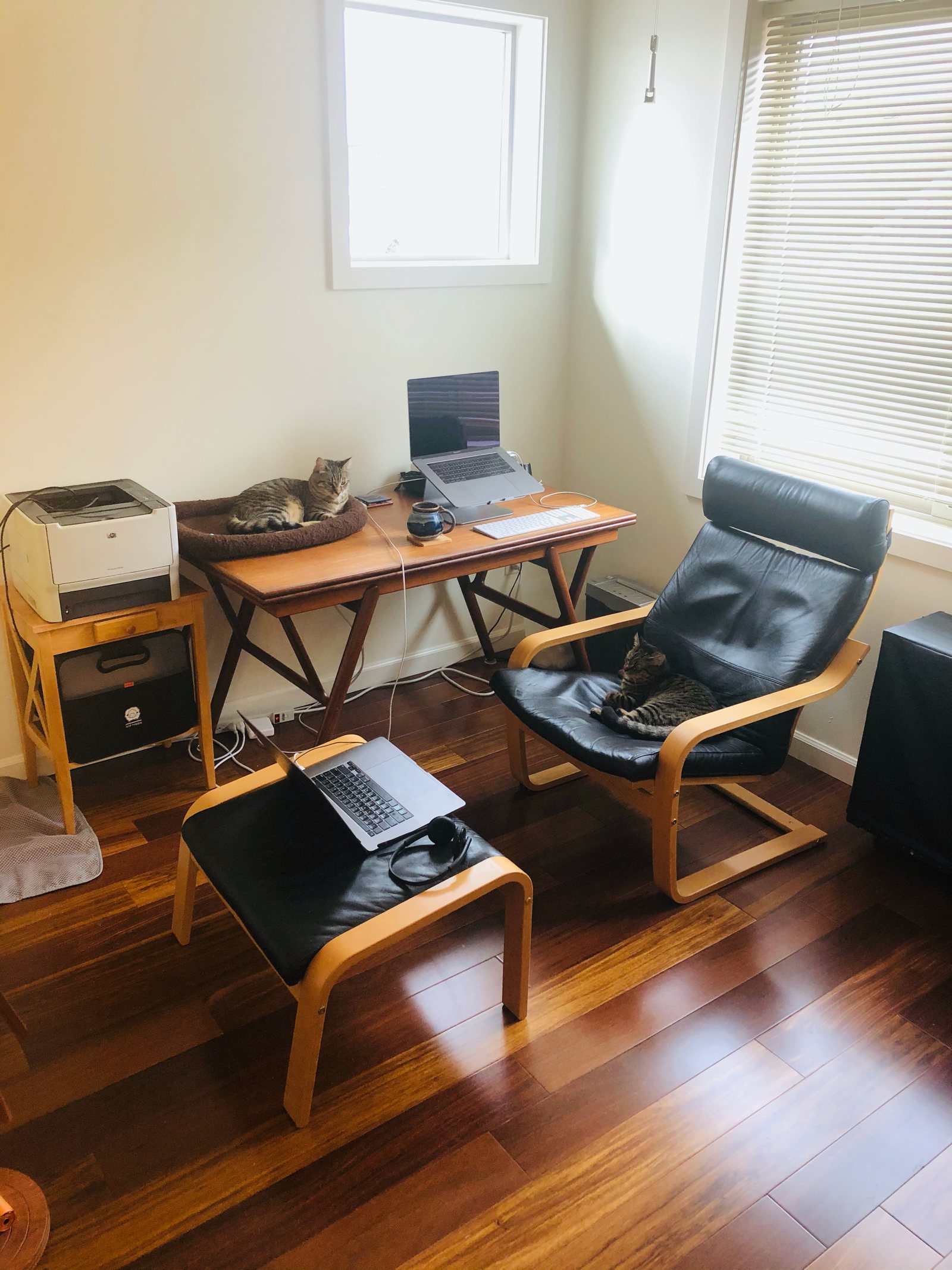 Home office setup of Michael Fromberger, software engineer